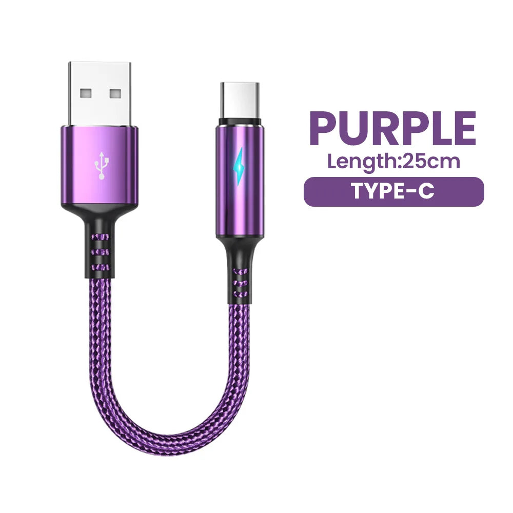 Short 0.25M USB Type-C & Micro USB Fast Charging Cable for Power Banks - 20