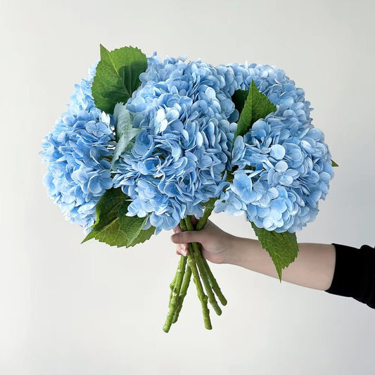 BloomEver Botanicals - Qeepin