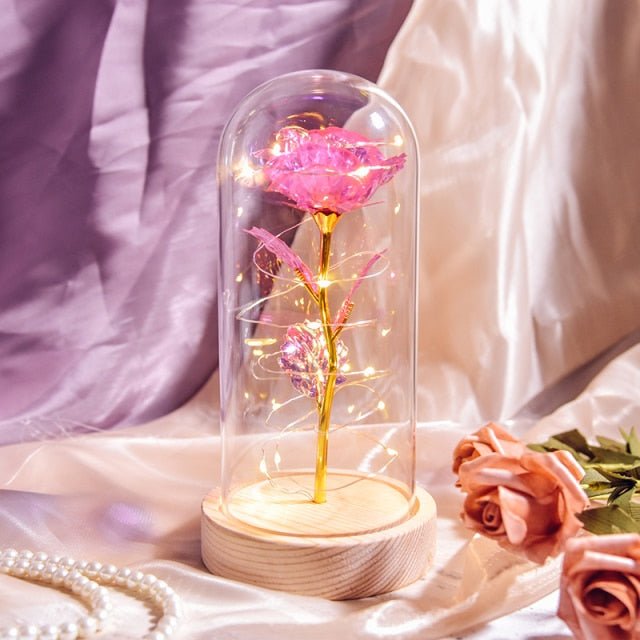 Enchanted Pink Rose in Glass - Qeepin