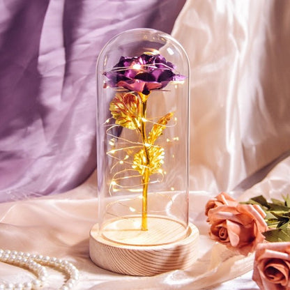 Enchanted Purple Rose in Glass - Qeepin