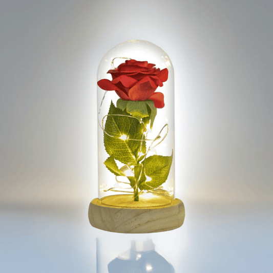 Enchanted Red Silk Rose in Glass Dome - Qeepin