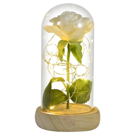 Enchanted White Silk Rose in Glass Dome - Qeepin