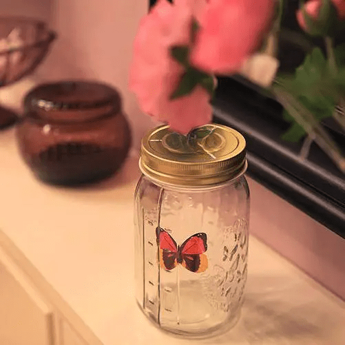 Premium Quality Realistic Butterfly in a Jar 🦋 - Qeepin